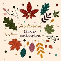 conjunto de vectores de hojas dibujadas a mano de otoño. paquete de pegatinas de hojas de temporada de otoño. paquete decorativo de elementos de diseño lindo y acogedor de otoño. ilustración vectorial