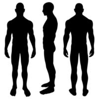 siluetas negras vectoriales del cuerpo del hombre en la vista frontal, lateral y trasera. vector