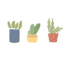 Illustration of flowers in pots. Drawn cartoon plants in colorful flowerpots. vector