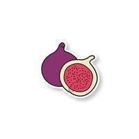 Fig patch. Common fig fruit. Color sticker. Vector isolated illustration