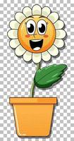 Flower cartoon character in pot vector