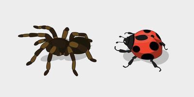 Bugs illustration vector