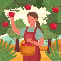 Fall Activity Apple Picking Concept vector