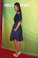 LAS VEGAS, APR 8 - Daniella Alonso at the NBCUniversal Summer Press Day at Huntington Langham Hotel on April 8, 2014 in Pasadena, CA photo