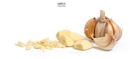 Garlic isolated on white background. Cooking spices photo
