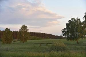 campo verde y bosque por la noche con nubes foto