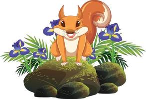 Cute squirrel sitting on rock vector