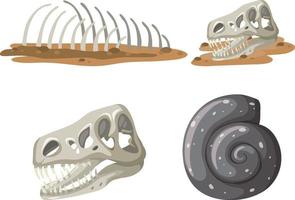 Set of different fossils isolated vector