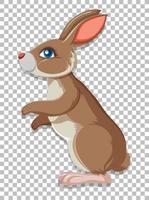 Cute rabbit on grid background vector