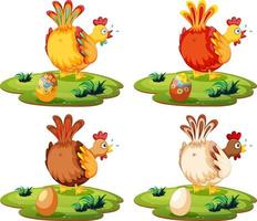 Cute chicken laying eggs vector