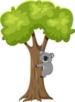 koala en el personaje de dibujos animados de árboles vector