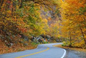 Winding Autumn road photo