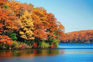 Autumn foliage over lake photo