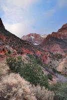 parque nacional zion en invierno foto