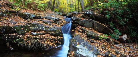 creek on rocks with foliage panorama photo