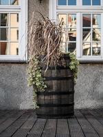 Old barrel. The composition of the dry plants photo