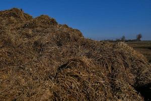 campo, la tierra cultivable se prepara para la siembra de cultivos. en el fondo, bosque lejano, tractores aran. foto