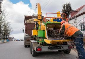 Worker putting tree branches into a chipper truck.