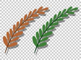 Olive leaves isolated in flat style vector