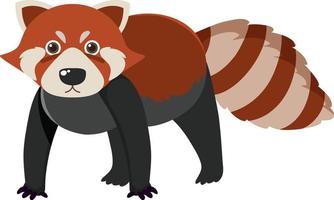 Cute red raccoon in flat cartoon style vector