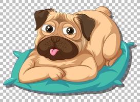 perro pug en personaje de dibujos animados de almohada vector