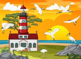 Outdoor lighthouse at sunset with ibis birds vector