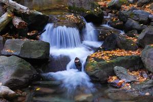 Autumn creek closeup photo