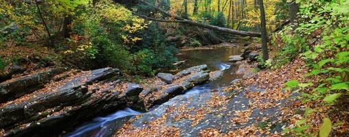 Autumn creek panorama photo