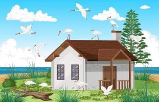 Outdoor scene with American white ibis group vector