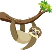 Cute sloth in flat cartoon style vector