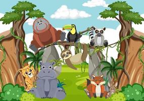 Wild animals in the forest vector