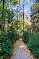 Autumn hiking trail photo