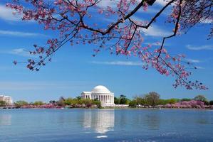 Thomas Jefferson national memorial, Washington DC photo