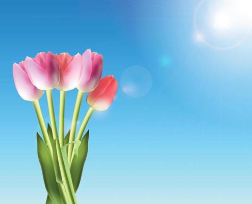 Beautiful Pink Tulips Against Shiny Sky Vector Illustration