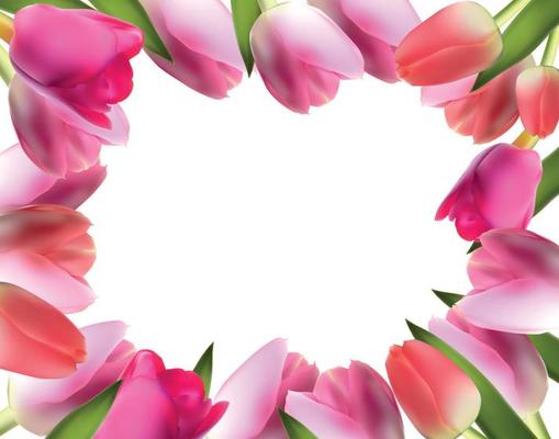 Beautiful Pink Realistic Tulip Frame Vector Illustration