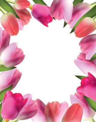 Beautiful Pink Realistic Tulip Frame Vector Illustration