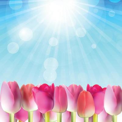 Beautiful Pink Tulips Against Shiny Sky Vector Illustration