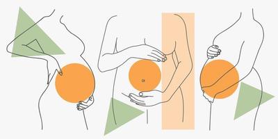 Pregnant belly outline vector