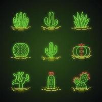 Wild cactuses in ground neon light icons set. Mexican tropical flora. Succulents. Spiny plants. Cacti collection. Glowing signs. Vector isolated illustrations