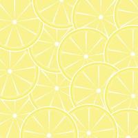 Lemon fruit abstract background vector illustration