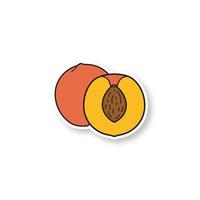 Peach patch. Apricot. Color sticker. Vector isolated illustration