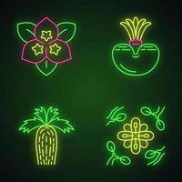 Desert plants neon light icons set. Exotic flora. Bougainvillea flower, living stone, California fan palm, larrea. Dry places plants. Glowing signs. Vector isolated illustrations