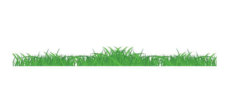 Flower and grass Borders set. vector illustration