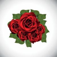 Realistic Rose High Quality Vector Illustration