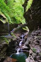 bridge in woods with waterfall photo