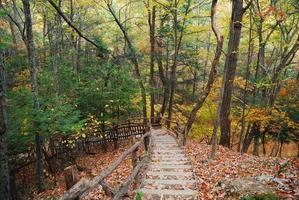 Autumn trail view photo