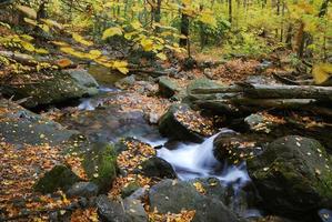 creek and rocks photo