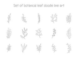 doodle art line botanical leaf element for decoration or printing vector