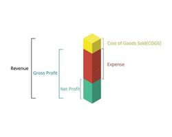 calcule la ganancia bruta y la ganancia neta para ver la diferencia en el balance general vector