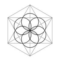Seed of life. Sacred geometry vector illustration